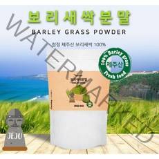 청정 제주 새싹보리 300g 분말 100% 국산 친환경 가루 순 잎 순수 새싹보리 분말 가루 국내산 20대 30대 40대 50대 60대 부모님 수험생 선물