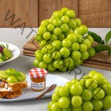 더자인 경산 에어포장 샤인머스켓 상 1Kg (2-3수), 1kg(2-3수), 1박스