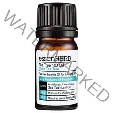 에센허브 티트리 100 오일, 1개, 10ml