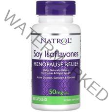 나트롤 Soy Isoflavones 10mg 60정, 1개, 기본