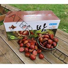 공주밤 간편식 군밤 특대알밤 생율공주밤 공주햇밤 알밤농장 영양간식 (특/대) 10Kg 8kg, 공주알밤 대8Kg
