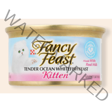 팬시피스트 키튼 텐더 흰살생선 고양이 주식캔, 생선, 85g, 30개