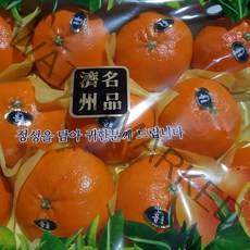 [명가]제주 황금향 레드향 천혜향 한라봉 비가림 하우스 감귤, 1박스, 23.제주감귤 10kg/로얄과(M~)