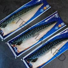 참바다 노르웨이 고등어 대사이즈 6팩 140-160g, 노르웨이고등어140-160gX6팩