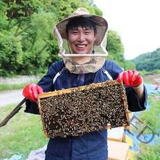 꽃따라꿀따라 천연 벌꿀 아카시아꿀 잡화꿀 밤꿀 2.4kg 1kg 2kg, 1kg 튜브꿀 (26000원), 잡화꿀(야생화꿀)