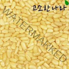 고소한나라 가평잣 200g 잣, 1봉