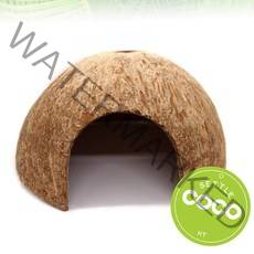 코코넛 은신처 대