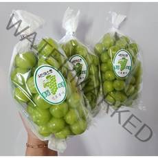 경북 경산 샤인머스캣 1.5/2kg, 샤인머스캣 2kg/왕특/3수