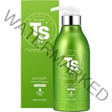 TS 올뉴 TS 샴푸, 500g, 1개