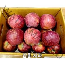 동현팜 찐맛 감홍사과 !!!, (16~19과), 2) 동현팜 찐맛 감홍사과 5 kg