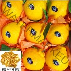 제주도 프리미엄 명품 선물용 가정용 한라봉 천혜향 레드향 3kg (7과~14과), 1. 정성가득 한라봉 3kg