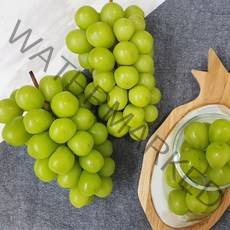 경산 샤인머스켓 특품 2kg 3수, 3) 1kg 2수
