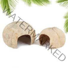 미미네아쿠아 코코넛 은신처 - (가재 소동물), 코코넛 은신처 중