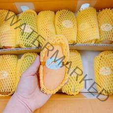 항공직수입 망고 고당도 태국망고 애플망고 무지개망고 인도망고 혼합, 태국망고 1.2kg 3~4과