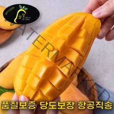 애플망고 태국망고 무지개망고 마하차녹 선물세트 2KG 4KG 5KG, A.태국망고 2K(4~7과수)