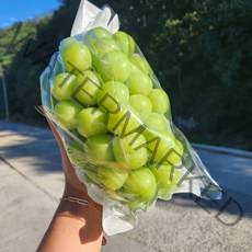 하늘이 내린 천상의 맛 경산 고당도 샤인머스켓 1.5kg 2kg, 1.4kg (2수) 특품