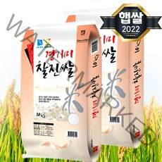 2022년 햅쌀 경기미 찰진쌀 20kg(10kg 2개) 간척지쌀, 단품