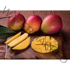 수입산 고당도 애플망고 2수 2kg 4kg 5kg 가락시장 프리미엄 과일선물, 애플망고 4kg