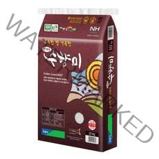 2021년 구수한향 수향미 골든퀸, 1개, 10kg