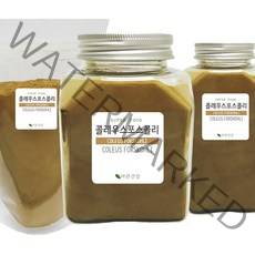 바른건강 몇세기걸쳐 사랑받는 콜레우스 포스콜리 포스콜린 추출분말 가루 100%, 500g, 1개