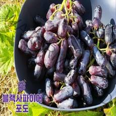 [프레시푸드마켓] 블랙사파이어 블랙가지포도 스윗사파이어 1봉지(1kg내외) 3봉지(3kg내외) 5봉지(5kg내외) 8봉지(8kg내외)
