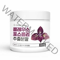 인도산 콜레우스포스콜리 추출 분말 가루 200g 1병 포스콜린 함량 뿌리 마시는 빨간 차 쥬스 물