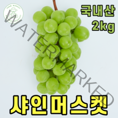 국내산 고당도 샤인머스켓 샤인머스캣 샤인머스킷 사인머스켓 프리미엄 청포도 최상급 특등급 달콤한 에어포장 설 한가위 추석 명절 선물 세트, 3.샤인머스켓 2kg (특/4개입)