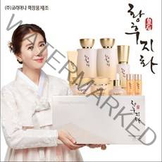 코리아나 황후지화 칠자화 한방 7종세트