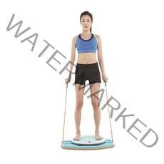 허리운동 실내운동기구 스윙턴