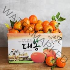 [장보남] 22년 햇 대봉감 [10kg 대용량 5kg 중소과] 옵션 곶감용 홍시용 /우체국택배, 1박스, 대봉감 중소과 5kg(26-30과)