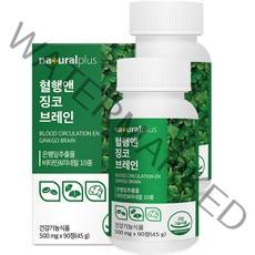 내츄럴플러스 혈행엔 징코 브레인 45g, 90정, 2개