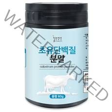 불로약초 초유 단백질 분말, 80g, 1개