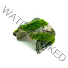 모비딕 이끼나무 은신처 F3070S, 1개