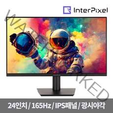 인터픽셀 IP2440 무결점 24인치 FHD IPS 리얼 165 평면 게이밍 모니터, 단품