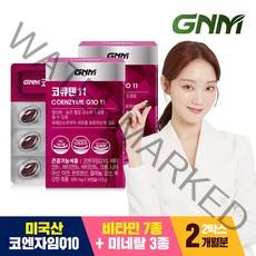 GNM자연의품격 코큐텐11 코엔자임Q10 11, 30정, 2박스