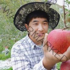 농부아빠가 직접재배하는 청송 사과 (가정용 흠과), 1박스, 가정용 5kg / (21-24과) 소과
