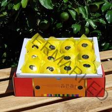 [7일간반짝할인] 제주황금향 2kg 3kg 5kg 제철을 맞아 더욱 풍성하고 향긋한 선물세트! 명절과일선물 박스무게포함, 황금향 2kg(9~12수 중과 선물용)