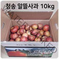 [산지직송]청송사과 10kg 알뜰사과 (포장재포함10kg이상), 1박스, 01.알뜰흠집 꼬마사과 10kg (45과~65과내외)