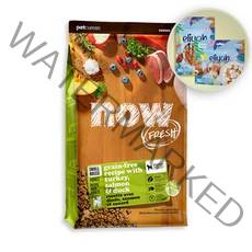 NOW 나우 독 스몰브리드 어덜트 5.44kg 9.98kg 그레인프리 강아지사료, 엘리야 트리플미트스틱100g(본품), 나우 독 어덜트 5.44kg(23.09.28)