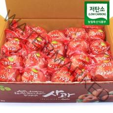 경북 의성 햇 사과 당도선별 껍질째 먹는 세척사과 2kg 3kg 5kg, 세척사과 꼬마11~14과 2kg