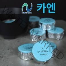 카엔 프리미엄 고체연료, 20개입, 25g