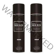 박명수헤어리치 흑채 스프레이 120g, 2개, 흑갈색