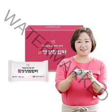 이보은의 잘차린 한끼 영양 찰밥바 1박스(26개), 50g, 1세트