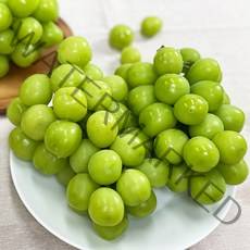 프리미엄 당도보장 망고향 샤인머스켓 2kg, 품질좋은 샤인 2kg(3수~4수)