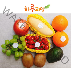 제철 과일 정기배송 선물 하루과일 선물 1회권, 빅싱글