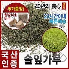 자애인 국산 솔잎가루 600g 솔잎 분말 가루 충북제천, 1개