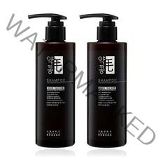 서울대밥스누 약콩모 스칼프 딥클렌징 탈모증상완화 샴푸, 2개, 400ml