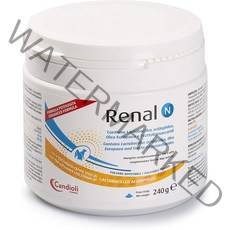 레날 N 반려견/반려묘 신장보조제 영양제 240g