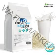 WPI 퓨어웨이 분리유청 단백질분말 500g 1팩 락토프리