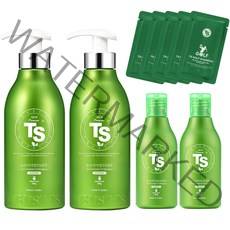TS 뉴프리미엄 TS 샴푸 500g x 2p + 100g x 2p + TS 골프샴푸 6g x 5p, 1세트